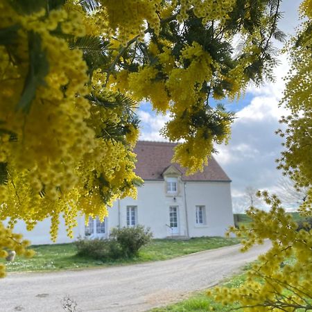 Vila Les Mimosas Gracay Exteriér fotografie