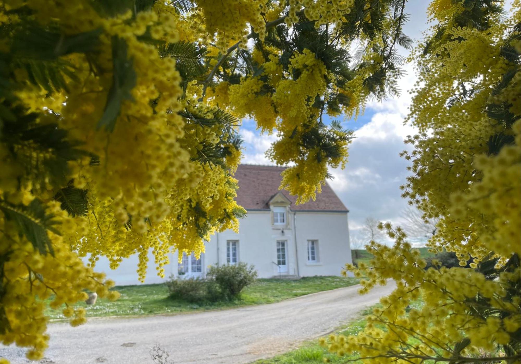 Vila Les Mimosas Gracay Exteriér fotografie
